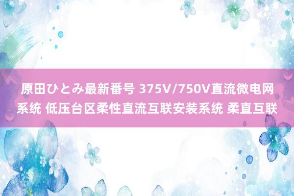 原田ひとみ最新番号 375V/750V直流微电网系统 低压台区柔性直流互联安装系统 柔直互联