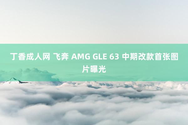 丁香成人网 飞奔 AMG GLE 63 中期改款首张图片曝光