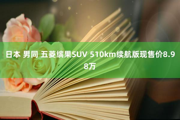 日本 男同 五菱缤果SUV 510km续航版现售价8.98万
