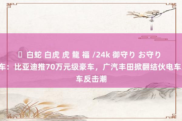 ✨白蛇 白虎 虎 龍 福 /24k 御守り お守り 3月新车：比亚迪推70万元级豪车，广汽丰田掀翻结伙电车反击潮