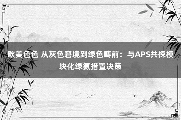 欧美色色 从灰色窘境到绿色畴前：与APS共探模块化绿氨措置决策