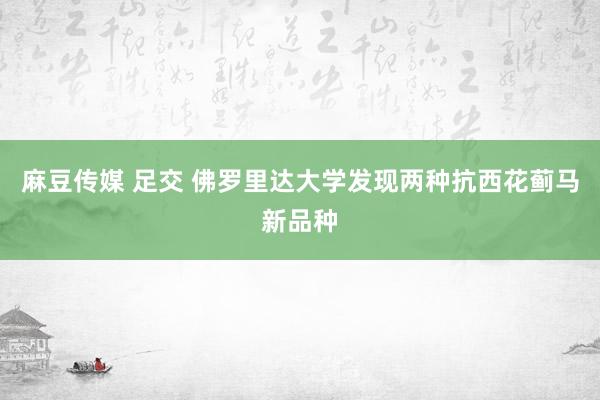 麻豆传媒 足交 佛罗里达大学发现两种抗西花蓟马新品种