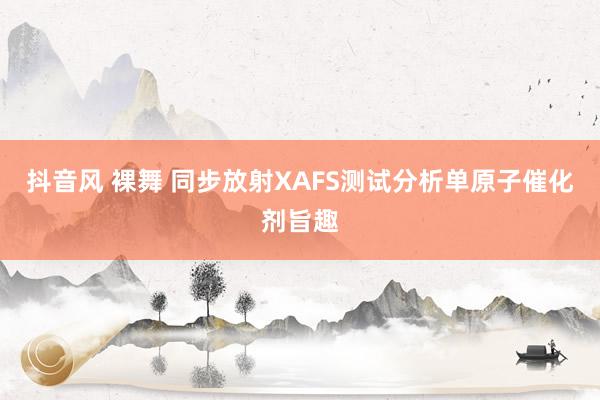 抖音风 裸舞 同步放射XAFS测试分析单原子催化剂旨趣