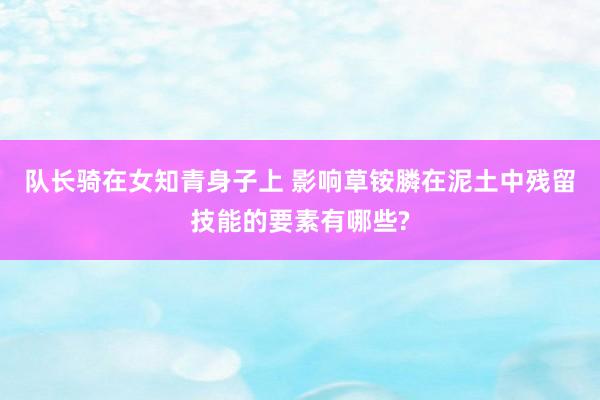 队长骑在女知青身子上 影响草铵膦在泥土中残留技能的要素有哪些?