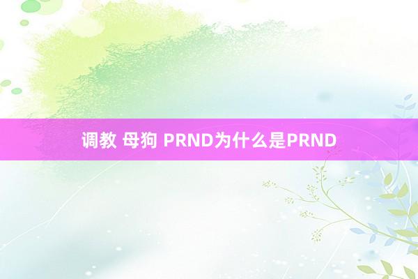 调教 母狗 PRND为什么是PRND