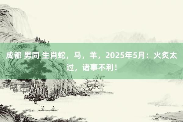 成都 男同 生肖蛇，马，羊，2025年5月：火炙太过，诸事不利！
