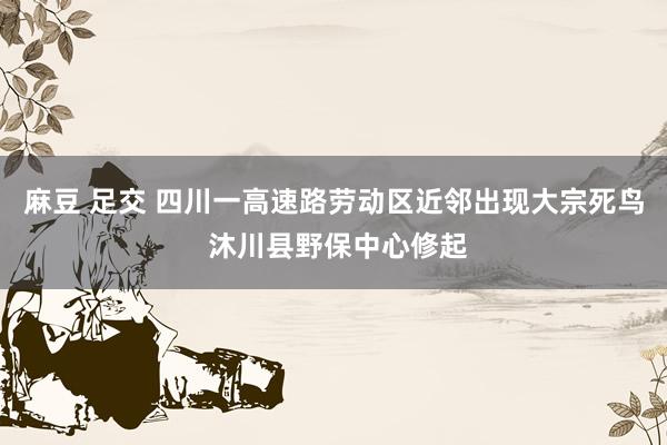 麻豆 足交 四川一高速路劳动区近邻出现大宗死鸟 沐川县野保中心修起