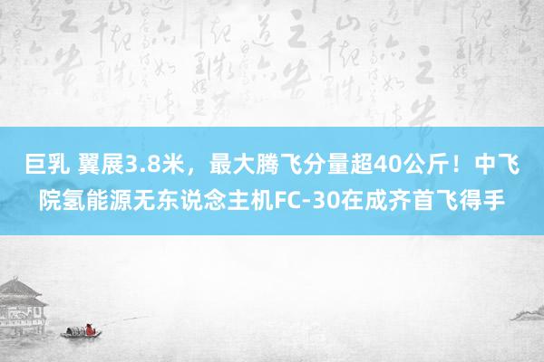 巨乳 翼展3.8米，最大腾飞分量超40公斤！中飞院氢能源无东说念主机FC-30在成齐首飞得手