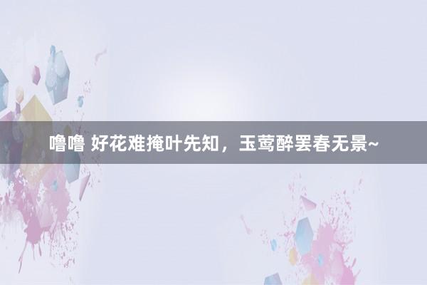 噜噜 好花难掩叶先知，玉莺醉罢春无景~