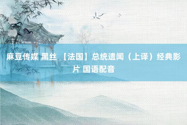 麻豆传媒 黑丝 【法国】总统遗闻（上译）经典影片 国语配音