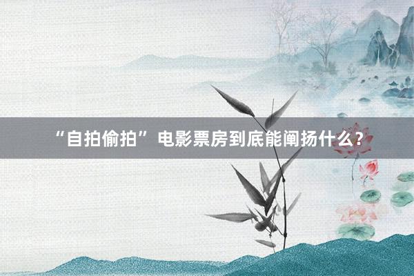 “自拍偷拍” 电影票房到底能阐扬什么？