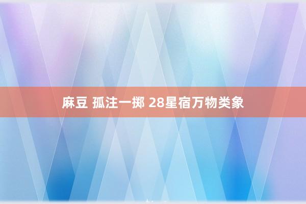 麻豆 孤注一掷 28星宿万物类象