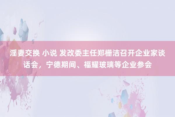 淫妻交换 小说 发改委主任郑栅洁召开企业家谈话会，宁德期间、福耀玻璃等企业参会