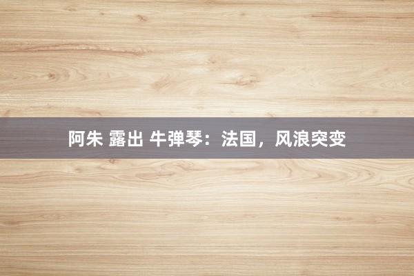 阿朱 露出 牛弹琴：法国，风浪突变